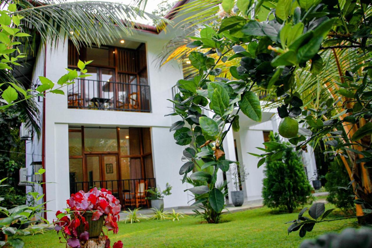 Manike Lodge Habarana Kültér fotó